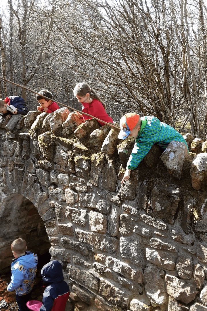 Old Rayne Forest School